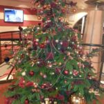 Tannenbaum 1 Tannenbaum 1